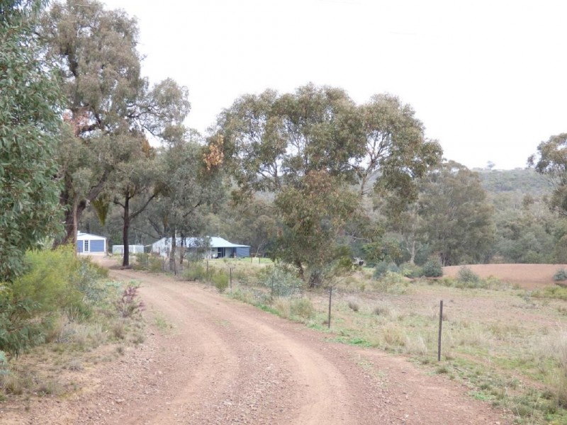 108 Whites Lane, Stockinbingal NSW 2725