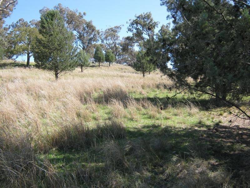 Big Bethungra, Bethungra NSW 2590
