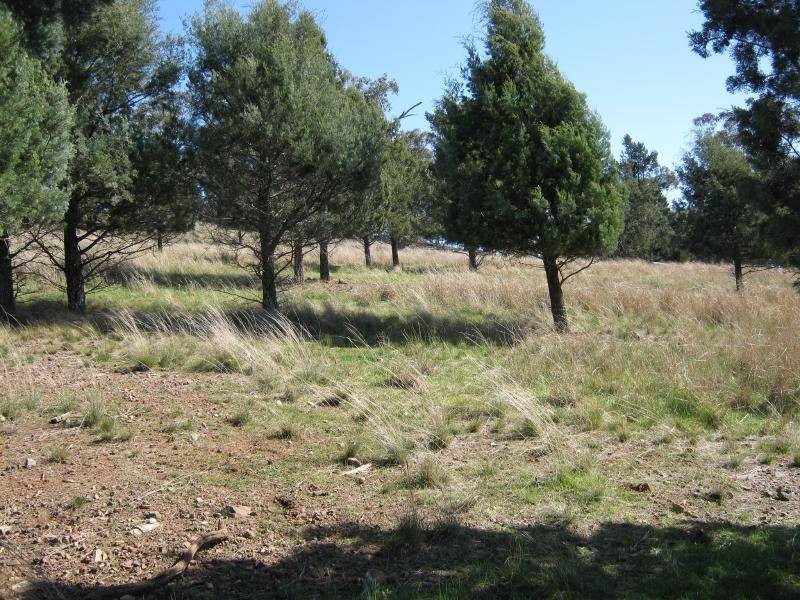 Big Bethungra, Bethungra NSW 2590