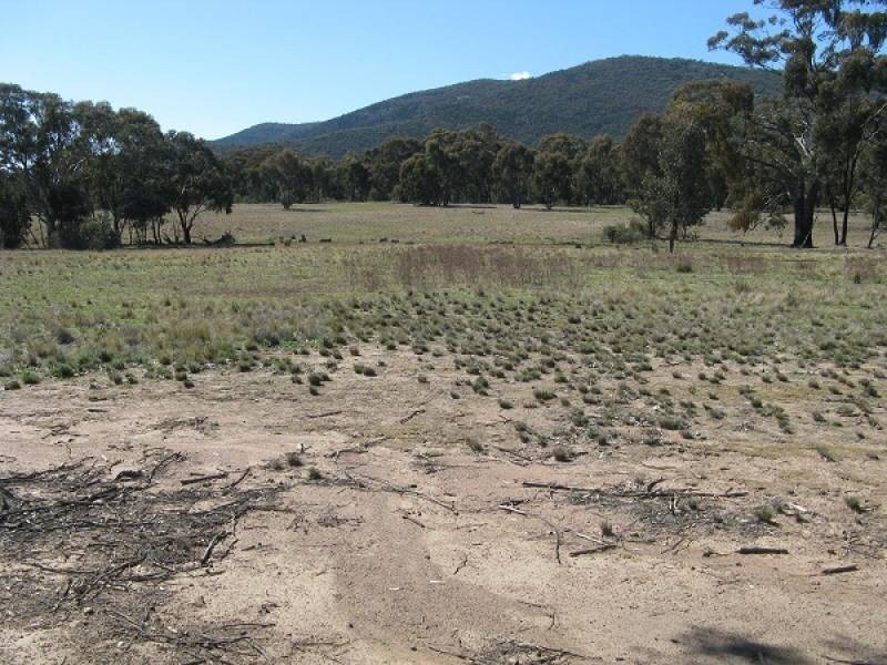Big Bethungra, Bethungra NSW 2590