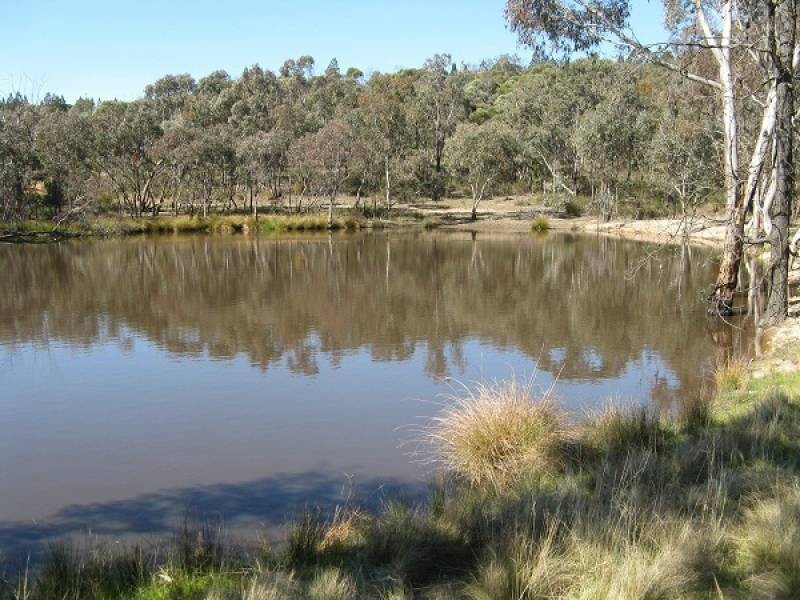 Big Bethungra, Bethungra NSW 2590