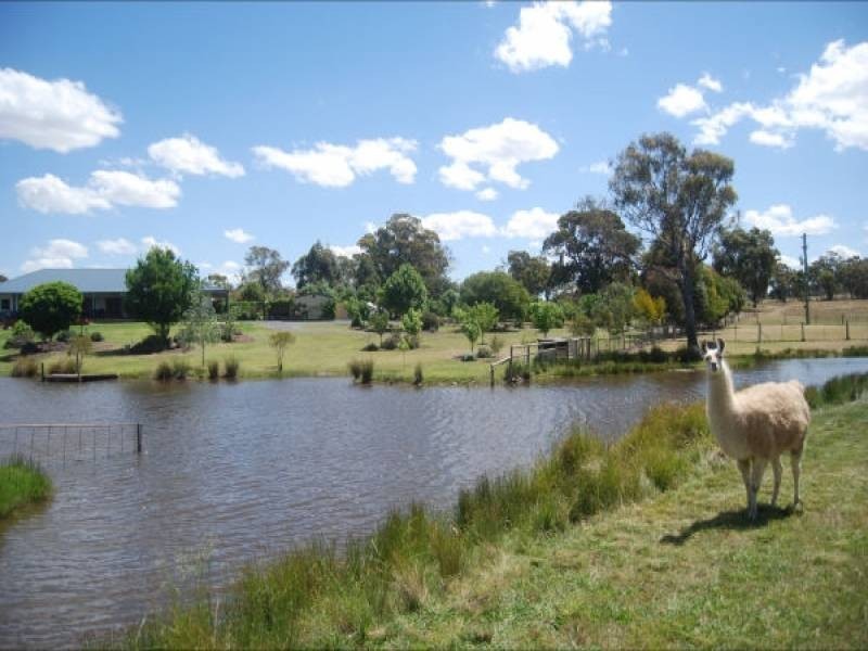 3514 Olympic Highway, Bethungra NSW 2590