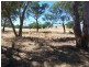 Lot 434 Pinkerton Road, Cootamundra NSW 2590