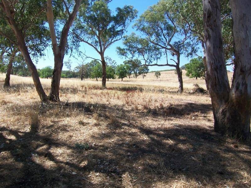 Lot 434 Pinkerton Road, Cootamundra NSW 2590