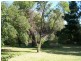 4 Poole Street, Cootamundra NSW 2590