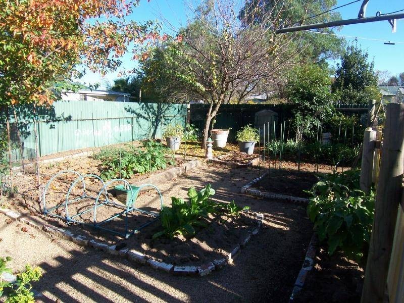 41 Murray Street, Cootamundra NSW 2590