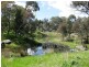 BOORINYA CHINAMANS ROAD, Wallendbeen NSW 2588
