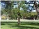 5 Adams Street, Cootamundra NSW 2590