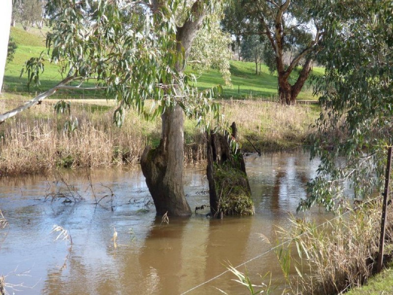 Bridge Street, Muttama NSW 2722