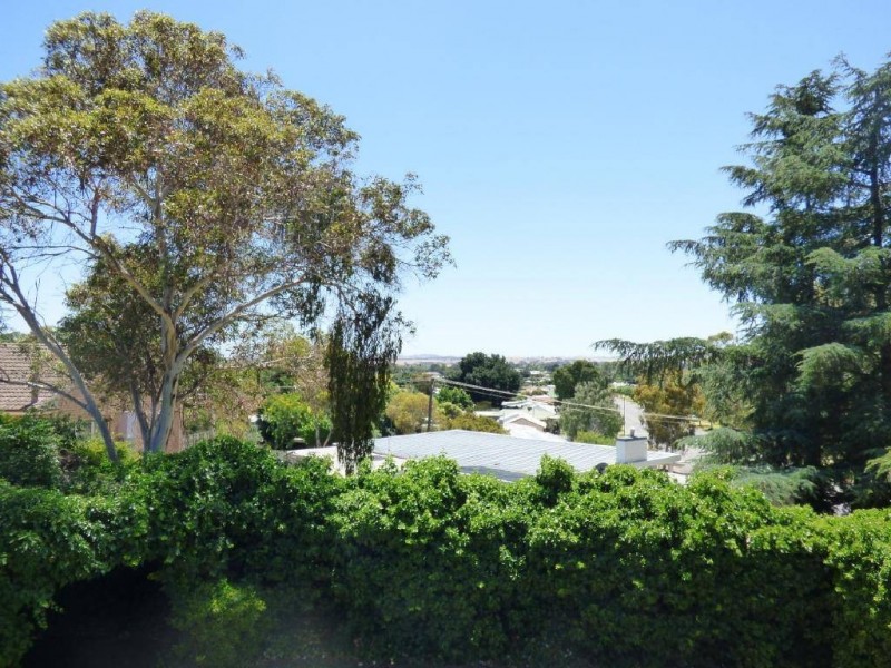 205 Thompson Street, Cootamundra NSW 2590