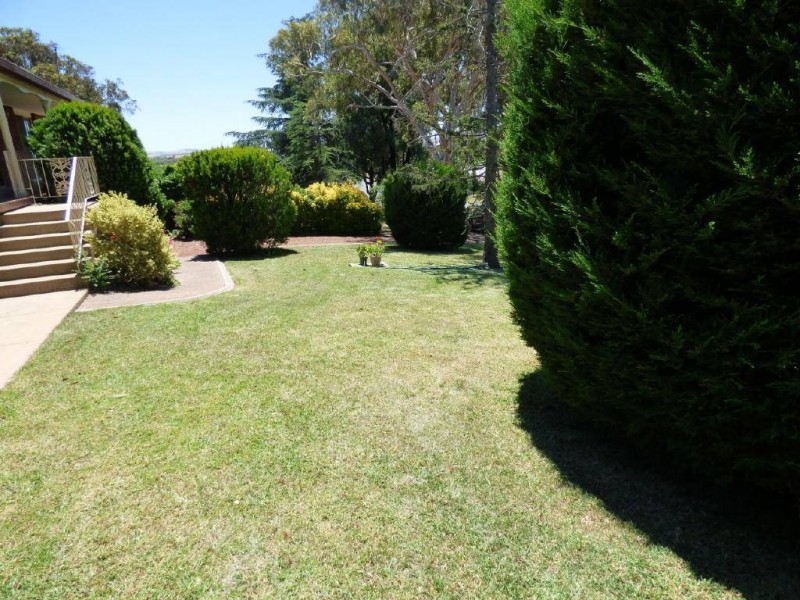205 Thompson Street, Cootamundra NSW 2590