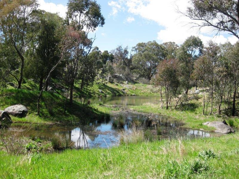 BOORINYA CHINAMANS ROAD, Wallendbeen NSW 2588