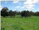 BOORINYA CHINAMANS ROAD, Wallendbeen NSW 2588