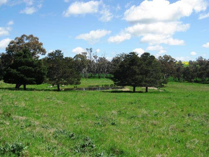 BOORINYA CHINAMANS ROAD, Wallendbeen NSW 2588