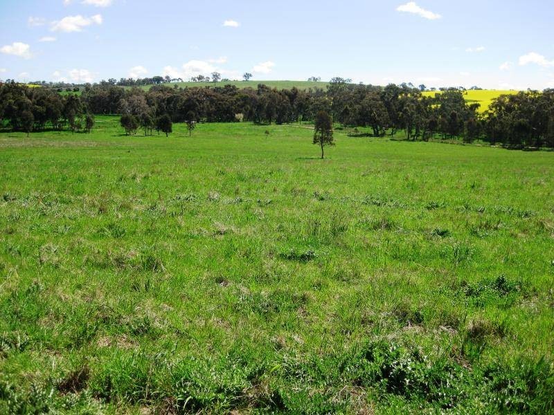 BOORINYA CHINAMANS ROAD, Wallendbeen NSW 2588