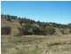 Lots 1 & 3 Salt Clay Lane, Cootamundra NSW 2590