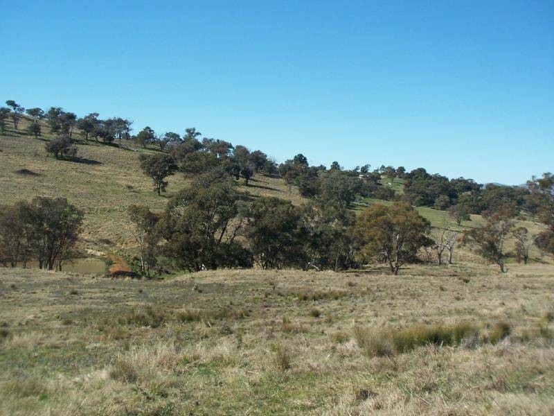 Lots 1 & 3 Salt Clay Lane, Cootamundra NSW 2590