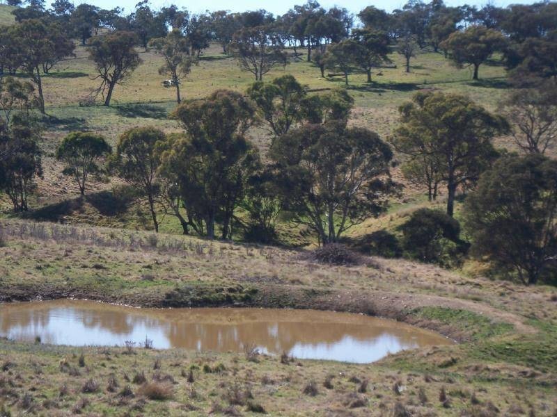 Lots 1 & 3 Salt Clay Lane, Cootamundra NSW 2590