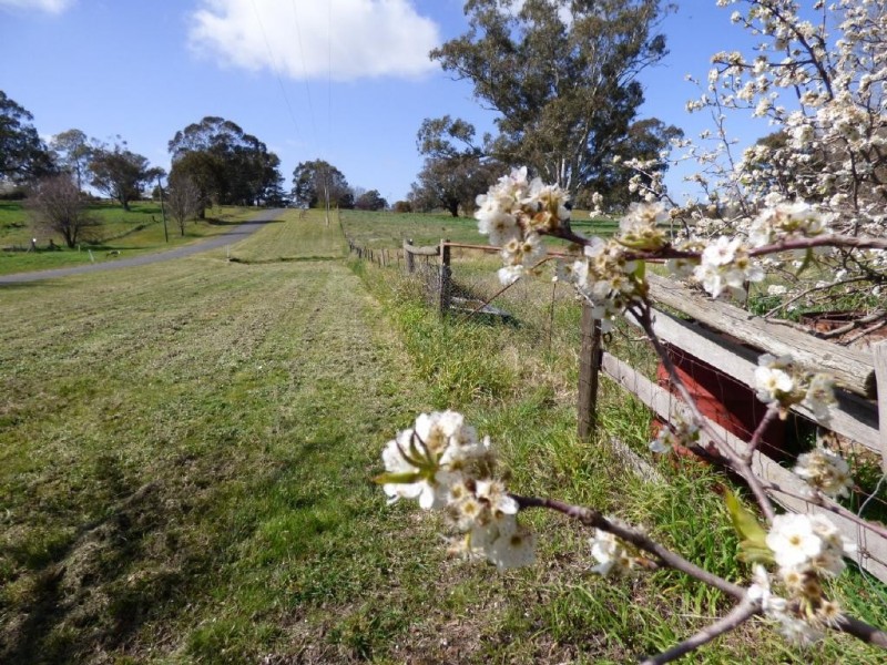 13 Queen Street, Wallendbeen NSW 2588