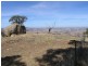 Yammatree Road, Burra Creek NSW 2722