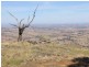 Yammatree Road, Burra Creek NSW 2722