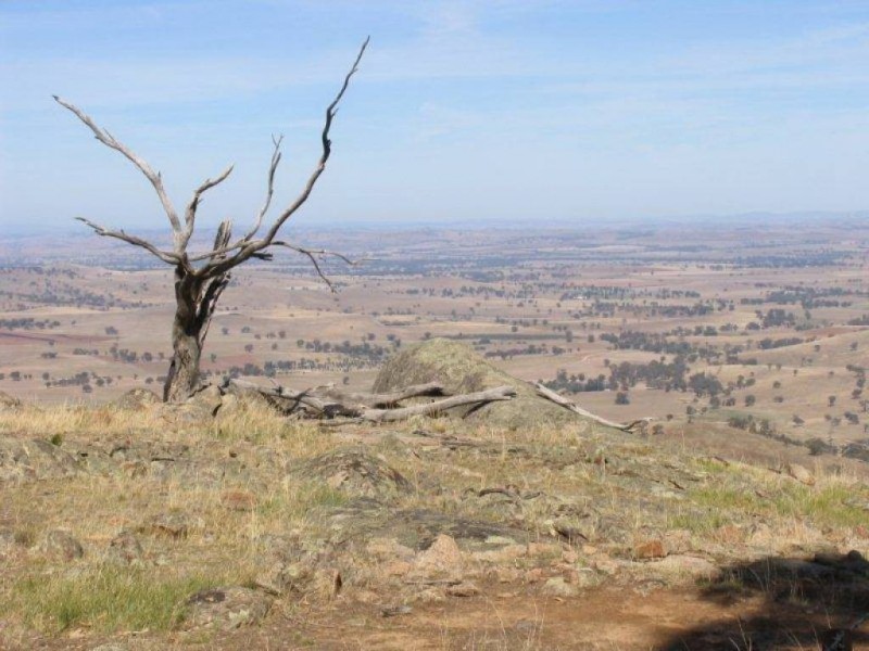 Yammatree Road, Burra Creek NSW 2722