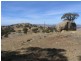 Yammatree Road, Burra Creek NSW 2722