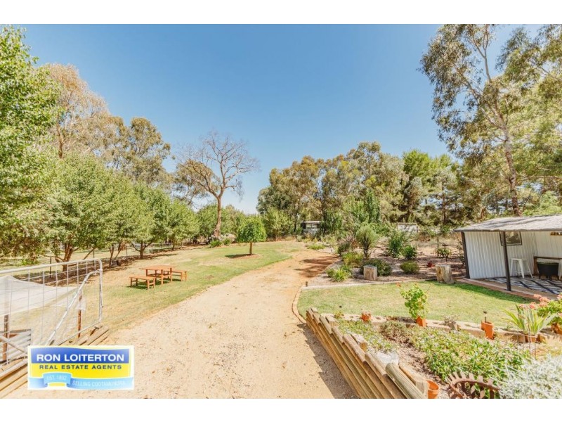 14 Rinkin, Cootamundra NSW 2590