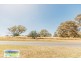 14 Rinkin, Cootamundra NSW 2590