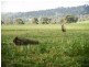 248 Back Brawlin Road, Cootamundra NSW 2590