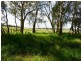 248 Back Brawlin Road, Cootamundra NSW 2590