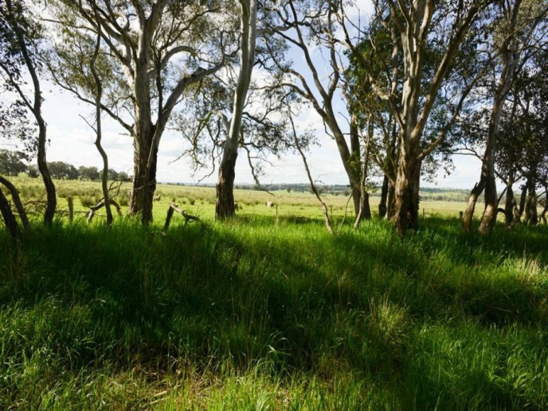 248 Back Brawlin Road, Cootamundra NSW 2590