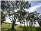 248 Back Brawlin Road, Cootamundra NSW 2590