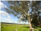 248 Back Brawlin Road, Cootamundra NSW 2590