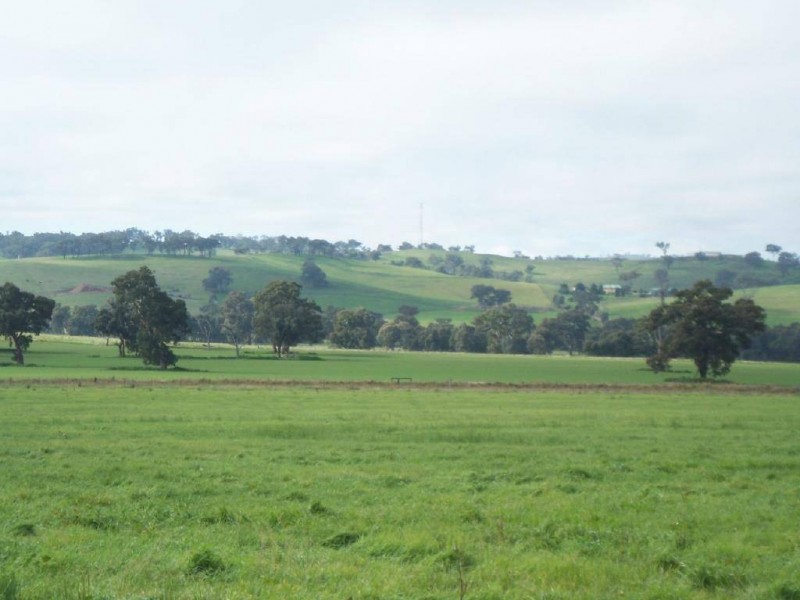 248 Back Brawlin Road, Cootamundra NSW 2590