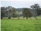 248 Back Brawlin Road, Cootamundra NSW 2590