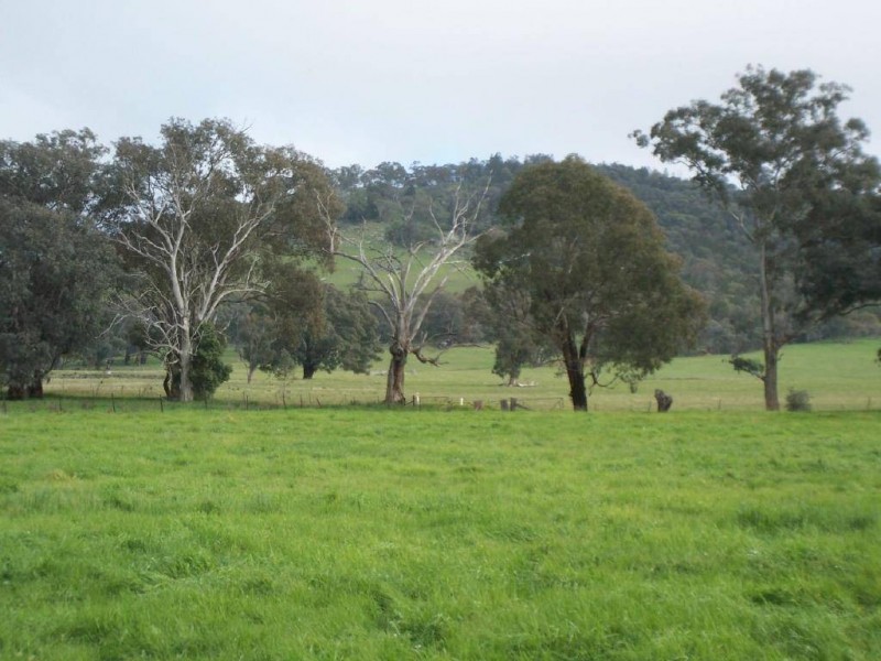 248 Back Brawlin Road, Cootamundra NSW 2590