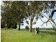 248 Back Brawlin Road, Cootamundra NSW 2590