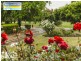 18 Northcott Avenue, Cootamundra NSW 2590