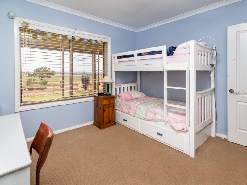 384 Ryans Lane, Cootamundra NSW 2590