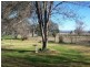 67 Rodeo Drive, Cootamundra NSW 2590