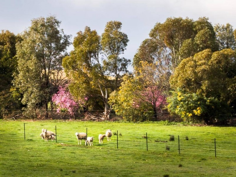 5172 Gundagai Road, Cootamundra NSW 2590