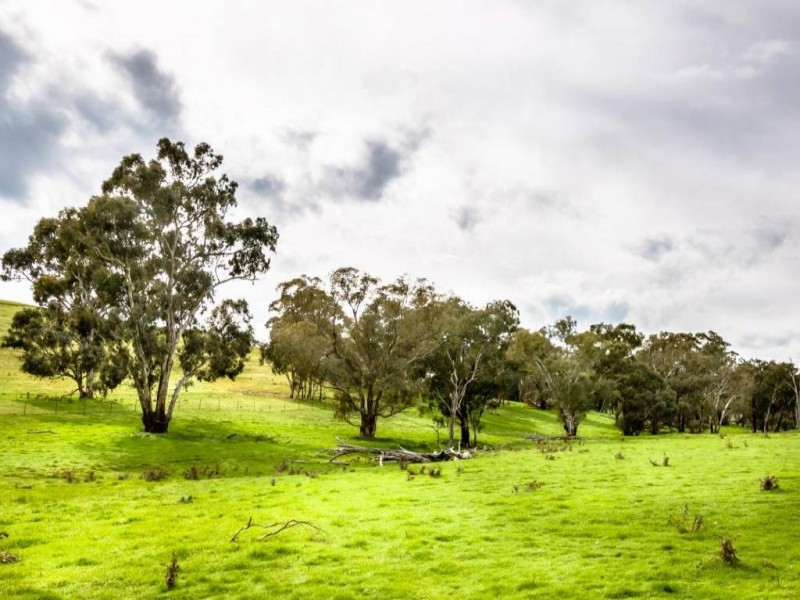 5172 Gundagai Road, Cootamundra NSW 2590