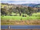 5172 Gundagai Road, Cootamundra NSW 2590
