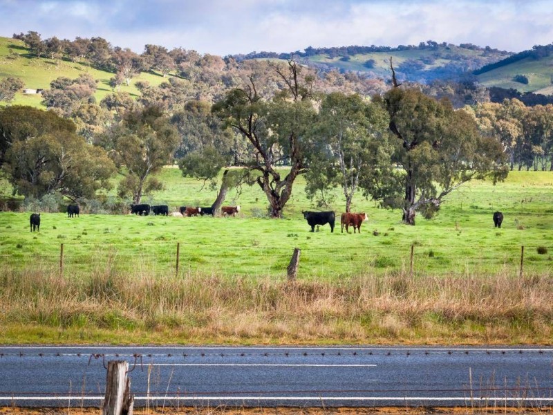 5172 Gundagai Road, Cootamundra NSW 2590