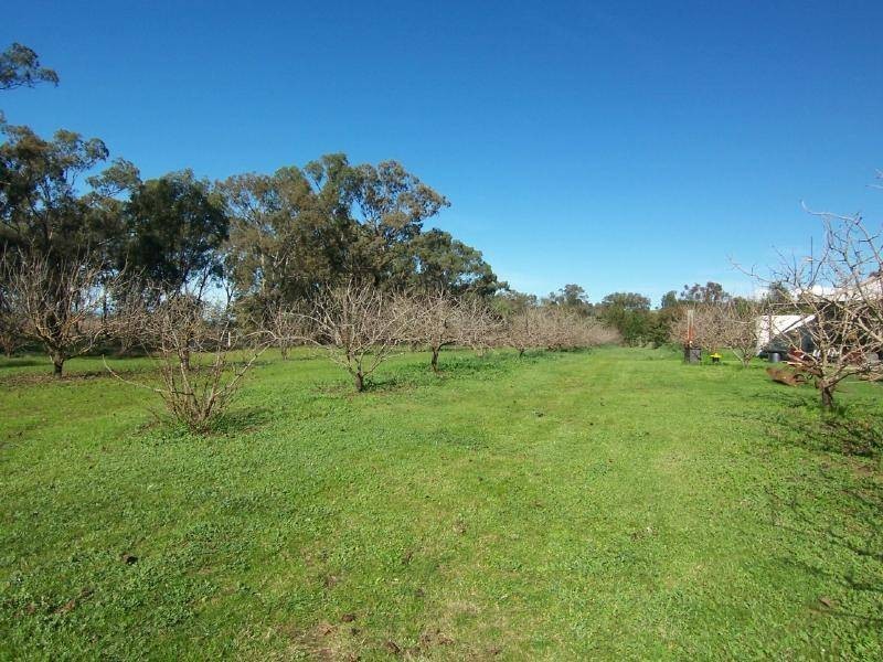 Lot 7 – 20 Rathmells Lane, Cootamundra NSW 2590