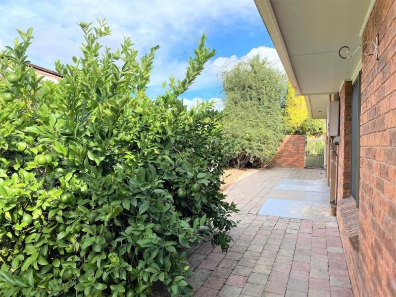 1 Minkara Avenue, Cootamundra NSW 2590