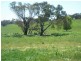LOT 5 GUNDAGAI ROAD, Cootamundra NSW 2590