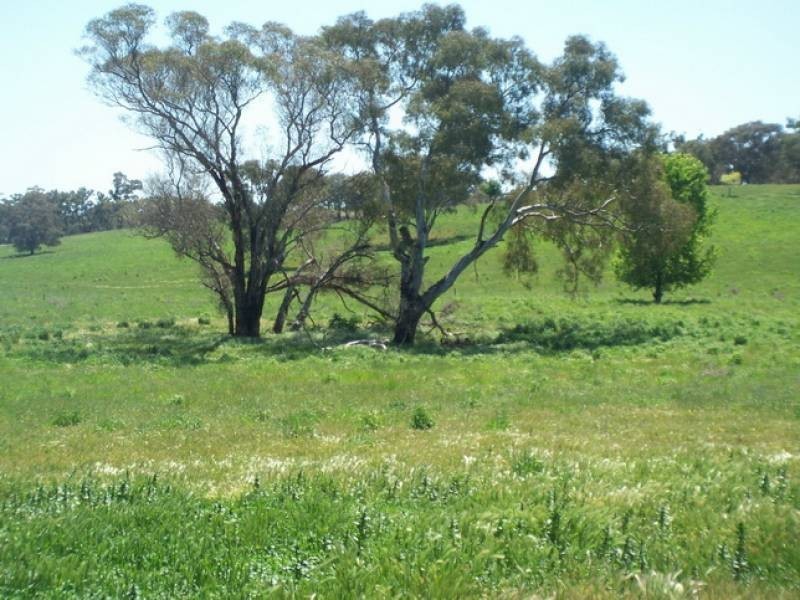 LOT 5 GUNDAGAI ROAD, Cootamundra NSW 2590