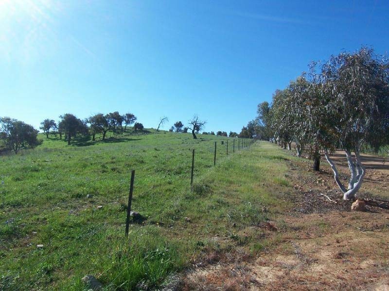 Lot 1 Salt Clay Road, Cootamundra NSW 2590